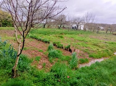 Maison a vendre Romilly 41270 Loir-et-Cher 87 m2 3 pièces 135096 euros