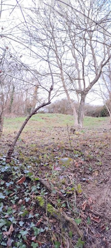 Divers a vendre Mazangé 41100 Loir-et-Cher 23 m2  4000 euros