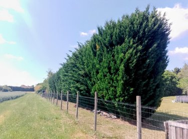 Terrain a batir a vendre Saint-Amand-Longpré 41310 Loir-et-Cher 1030 m2  54000 euros