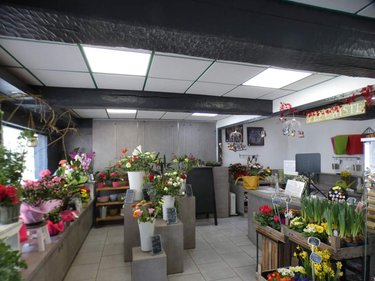 Immeuble a vendre Château-Renard 45220 Loiret 138 m2  91250 euros