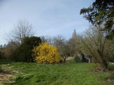 Maison a vendre Chevannes 45210 Loiret 76 m2 3 pièces 178750 euros