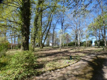 propriete a vendre Fontenay-sur-Loing 45210 Loiret 147 m2 7 pièces 299700 euros