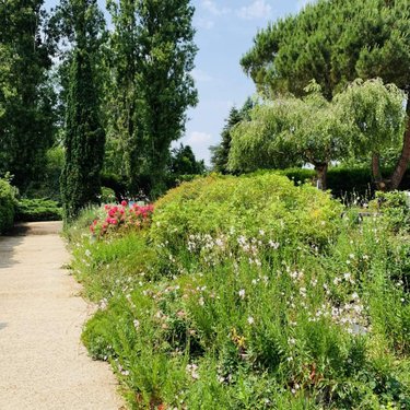 Maison a vendre Fontenay-sur-Loing 45210 Loiret 180 m2 6 pièces 279900 euros