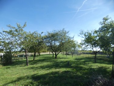 Maison a vendre Corbeilles 45490 Loiret 48 m2 3 pièces 97200 euros