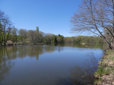 Maison a vendre Bazoches-sur-le-Betz 45210 Loiret 81 m2 4 pièces 137750 euros