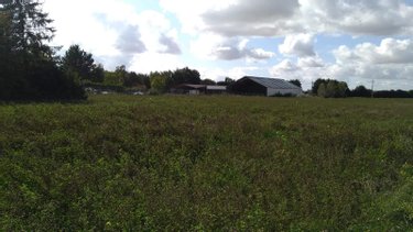Terrain a batir a vendre Josnes 41370 Loir-et-Cher 688 m2  36000 euros