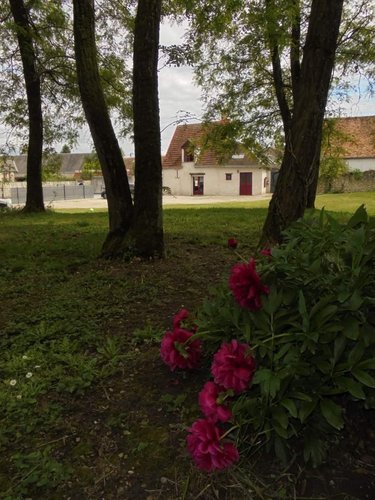 Maison a vendre Josnes 41370 Loir-et-Cher 374 m2 13 pièces 383100 euros