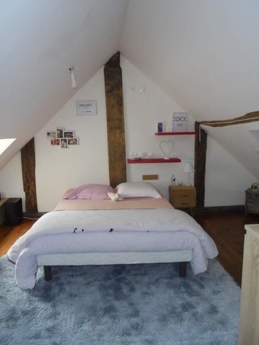 Maison a vendre Josnes 41370 Loir-et-Cher 374 m2 13 pièces 383100 euros