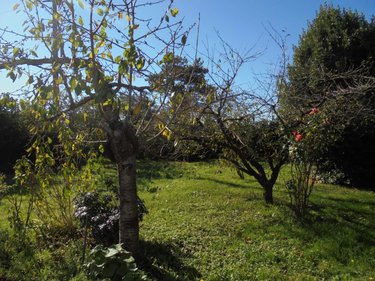 Maison a vendre Beaugency 45190 Loiret 126 m2 6 pièces 220600 euros