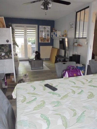 Maison a vendre Beaugency 45190 Loiret 76 m2 4 pièces 136800 euros