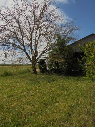 Maison a vendre Séris 41500 Loir-et-Cher 107 m2 6 pièces 128400 euros