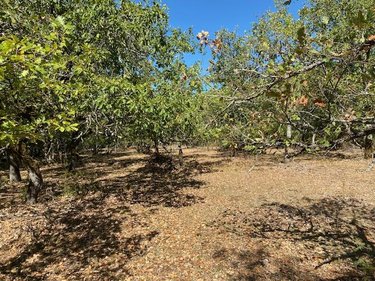 Terrain a batir a vendre Cremps 46230 Lot 2584 m2  42400 euros