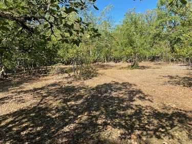 Terrain a batir a vendre Cremps 46230 Lot 2584 m2  42400 euros