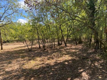 Terrain a batir a vendre Cremps 46230 Lot 2584 m2  42400 euros