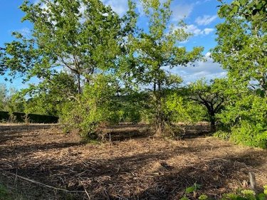 Terrain a batir a vendre Puylaroque 82240 Tarn-et-Garonne 3088 m2  21200 euros