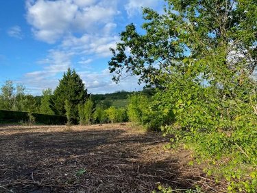 Terrain a batir a vendre Puylaroque 82240 Tarn-et-Garonne 3088 m2  33920 euros