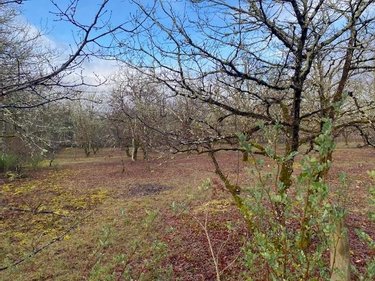 Terrain a batir a vendre Lalbenque 46230 Lot 979 m2  47700 euros
