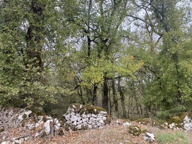 Terrain a batir a vendre Aujols 46090 Lot 4305 m2  68720 euros