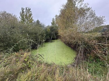 Maison a vendre Vernoil le Fourrier 49390 Maine-et-Loire 80 m2  136505 euros