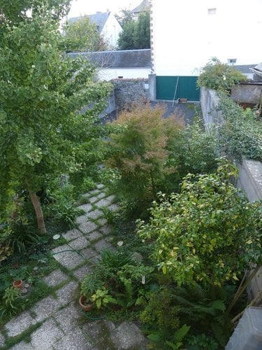 Maison a vendre Granville 50400 Manche 54 m2 2 pièces 238500 euros
