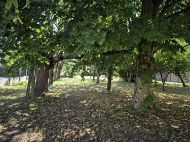 Maison a vendre Granville 50400 Manche 105 m2 4 pièces 344500 euros