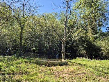 Terrains de loisirs bois etangs a vendre Longueville 50290 Manche 3 m2  79500 euros