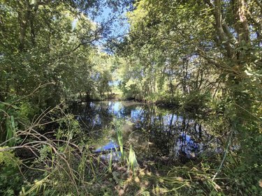 Terrains de loisirs bois etangs a vendre Longueville 50290 Manche 3 m2  79500 euros