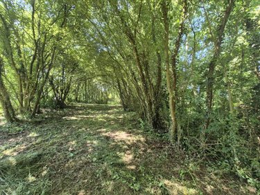 Terrains de loisirs bois etangs a vendre Longueville 50290 Manche 3 m2  79500 euros
