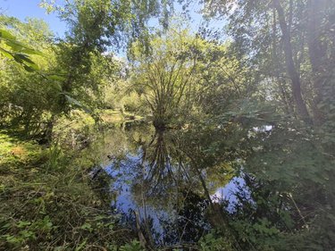 Terrains de loisirs bois etangs a vendre Longueville 50290 Manche 3 m2  79500 euros