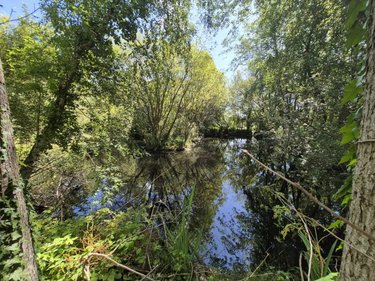 Terrains de loisirs bois etangs a vendre Longueville 50290 Manche 3 m2  79500 euros