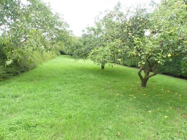 Location maison Saint-Pair-sur-Mer 50380 Manche 123 m2 6 pièces 1250 euros