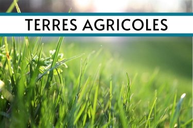 Terrains de loisirs bois etangs a vendre Folligny 50320 Manche 29300 m2  27500 euros