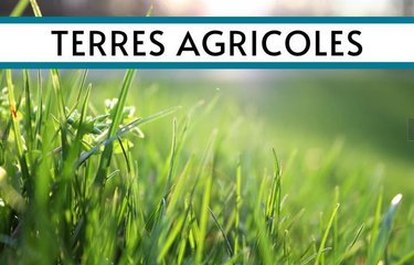 Bien agricole a vendre Sartilly-Baie-Bocage 50530 Manche  2750 euros
