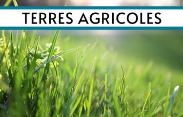 Terrains de loisirs bois etangs a vendre Genêts 50530 Manche 12500 m2  22000 euros