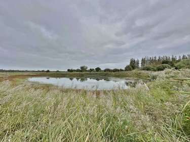 Bien agricole a vendre Bretteville-sur-Ay 50430 Manche  58240 euros