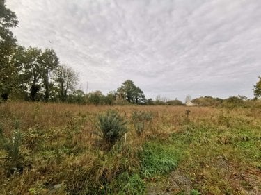 Terrain a batir a vendre Lessay 50430 Manche 1345 m2  89217 euros