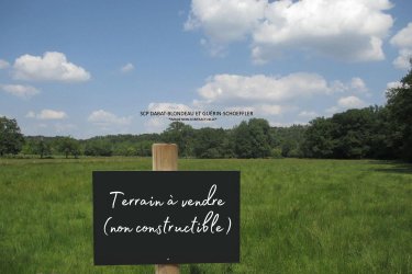 Terrains de loisirs bois etangs a vendre Mortain-Bocage 50140 Manche 6787 m2  2100 euros