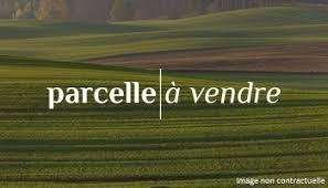 Bien agricole a vendre Saint-Clément-Rancoudray 50140 Manche 655 m2  168640 euros
