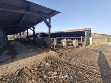 propriete a vendre Mortain-Bocage 50140 Manche 114 m2 5 pièces 364578 euros