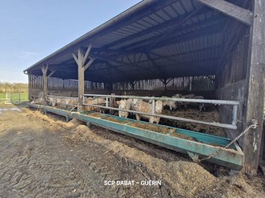 propriete a vendre Mortain-Bocage 50140 Manche 114 m2 5 pièces 364578 euros