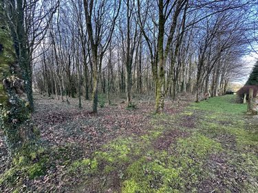 Maison a vendre Bricquebec-en-Cotentin 50260 Manche 160 m2 8 pièces 308860 euros