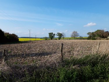 Terrain a batir a vendre Le Gault-Soigny 51210 Marne 4000 m2  38600 euros