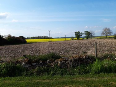 Terrain a batir a vendre Le Gault-Soigny 51210 Marne 4000 m2  38600 euros