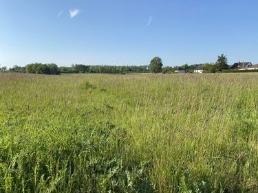 Terrain a batir a vendre Saint-Just-Sauvage 51260 Marne 2 m2  500305 euros