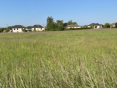 Terrain a batir a vendre Saint-Just-Sauvage 51260 Marne 2 m2  500305 euros