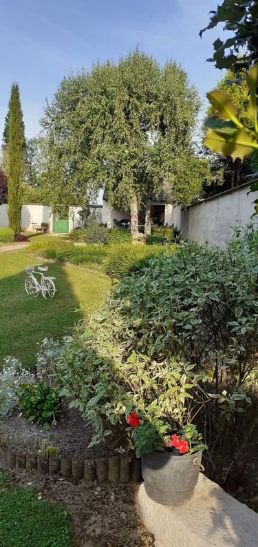 Maison a vendre Esternay 51310 Marne 141 m2 5 pièces 259000 euros