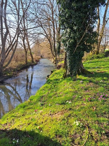 Maison a vendre Neuvy 51310 Marne 123 m2 4 pièces 177650 euros