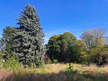 Maison a vendre Esternay 51310 Marne 100 m2 6 pièces 95400 euros