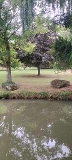 Maison a vendre Tréfols 51210 Marne 179 m2 7 pièces 261250 euros