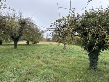 Terrain a batir a vendre Broussy-le-Grand 51230 Marne 3485 m2  27125 euros